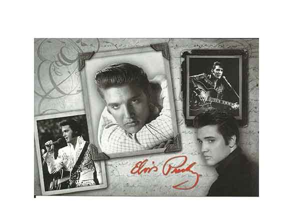 Elvis Presley Postcard 50 Pieces